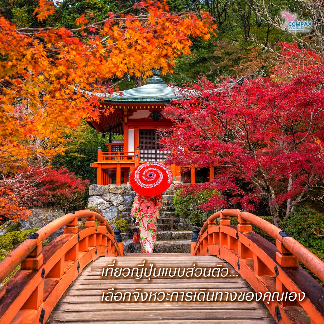 เที่ยวญี่ปุ่น ทัวร์ญี่ปุ่น ทัวร์ญี่ปุ่นพรีเมี่ยม โปรแกรมทัวร์ญี่ปุ่น